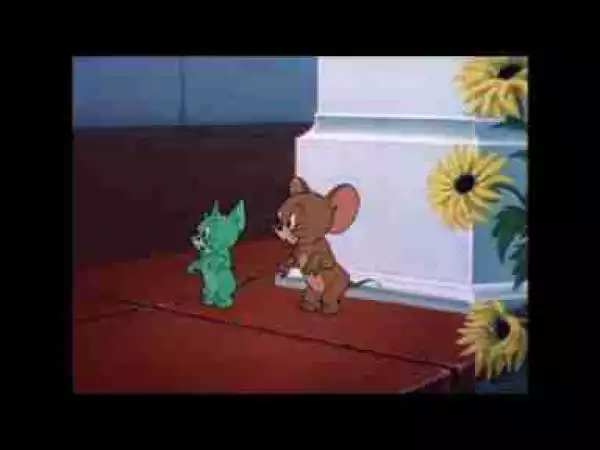 Video: Tom and Jerry, 66 Episode - Smitten Kitten (1952)